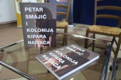 Mini IMG 4194
